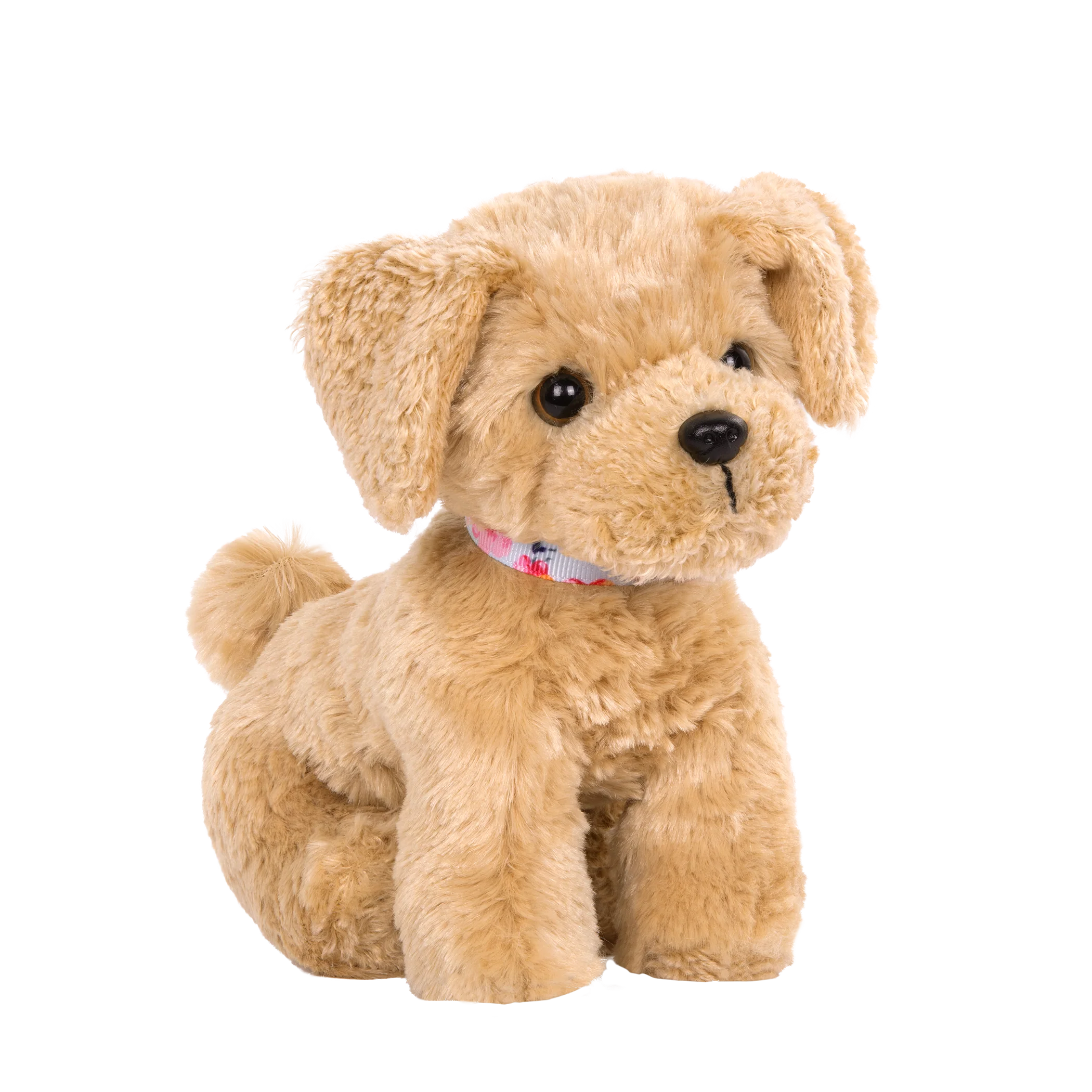 Goldendoodle Pup - Image 2